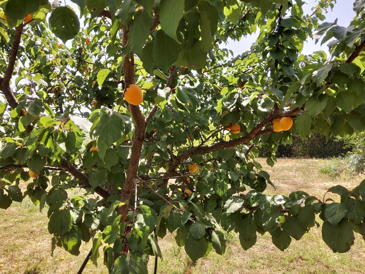 Casetta Vacanza In Campagna Aradeo Zewnętrze zdjęcie