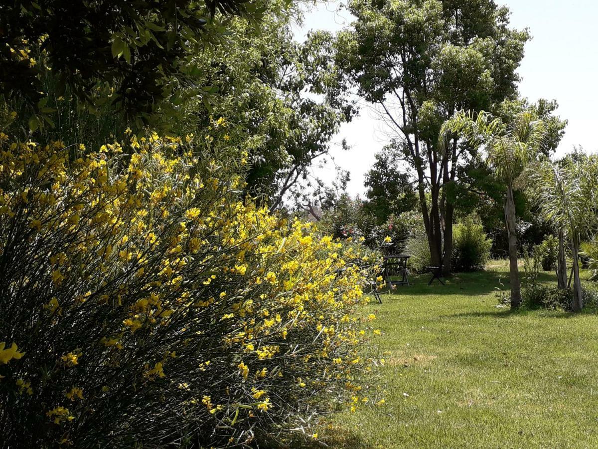 Casetta Vacanza In Campagna Aradeo Zewnętrze zdjęcie